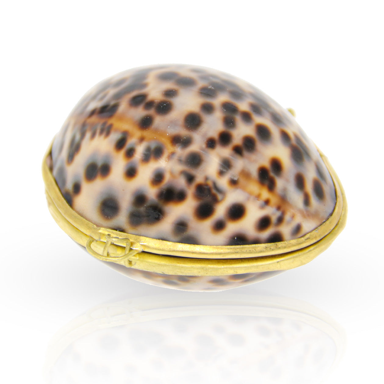 Stash Shell - Its a Shell!