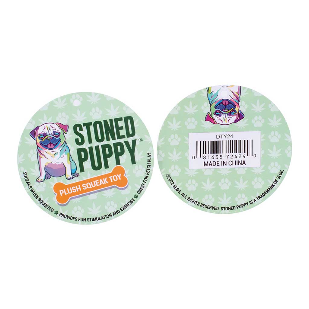 Best Buds Squeaky Dog Toy