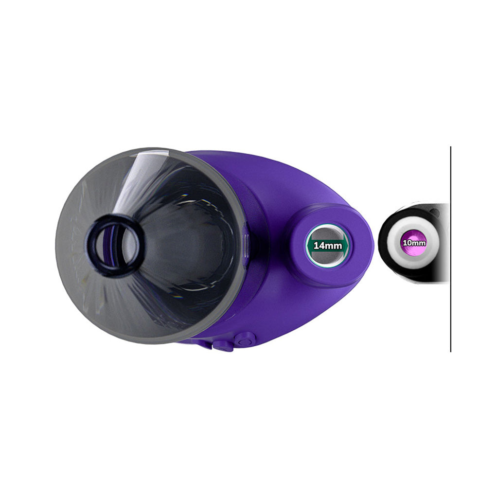 Focus V Carta 2 Grape