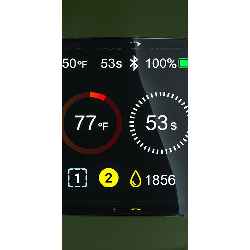 Focus V Carta 2 Grape