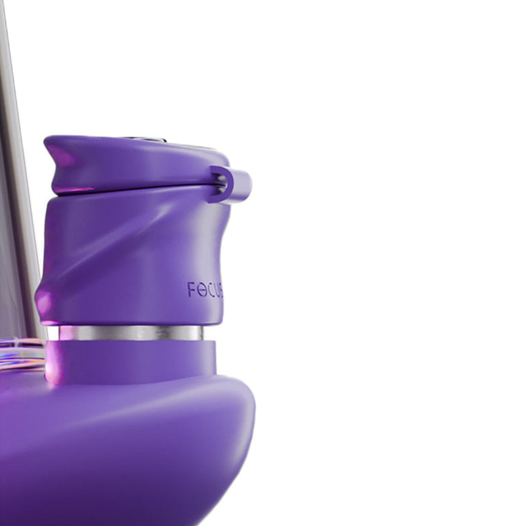 Focus V Carta 2 Grape