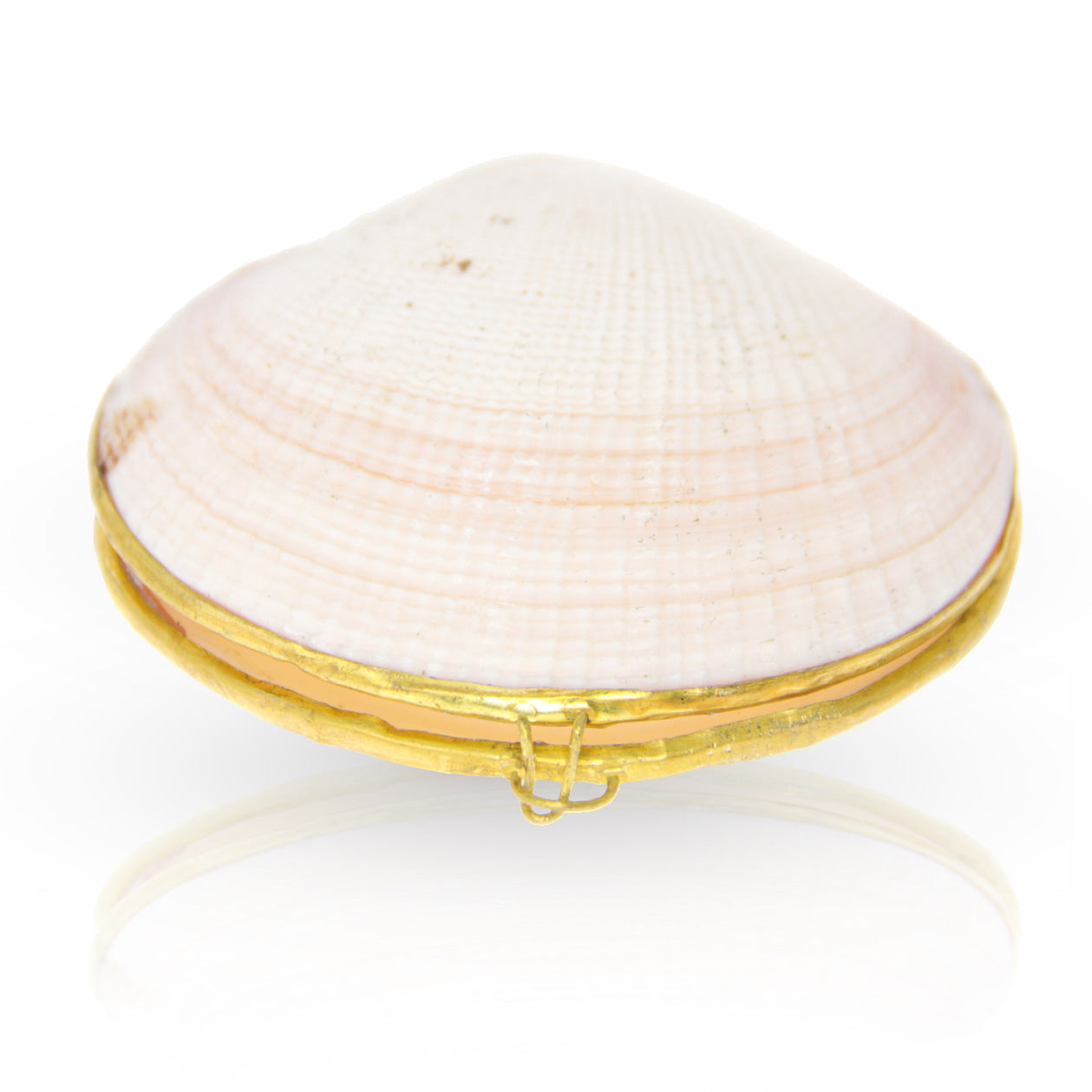 Stash Shell - Its a Shell!