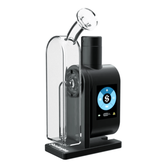 Studenglass Modül + Dok Concentrate Bundle
