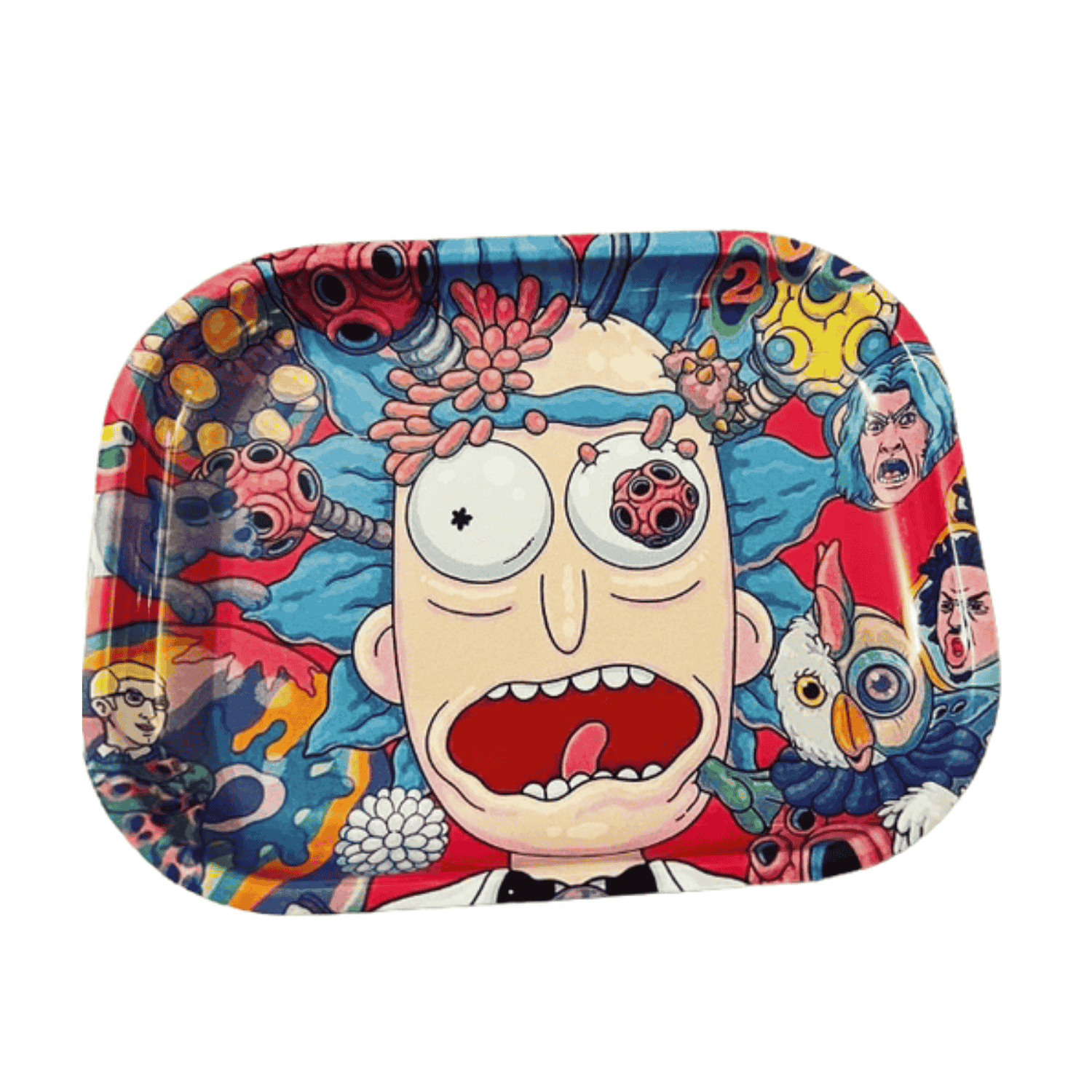 Decorative Collectible Humor 7.25 x 5.75 Car Home Metal Tin Ashtray with Various Designs