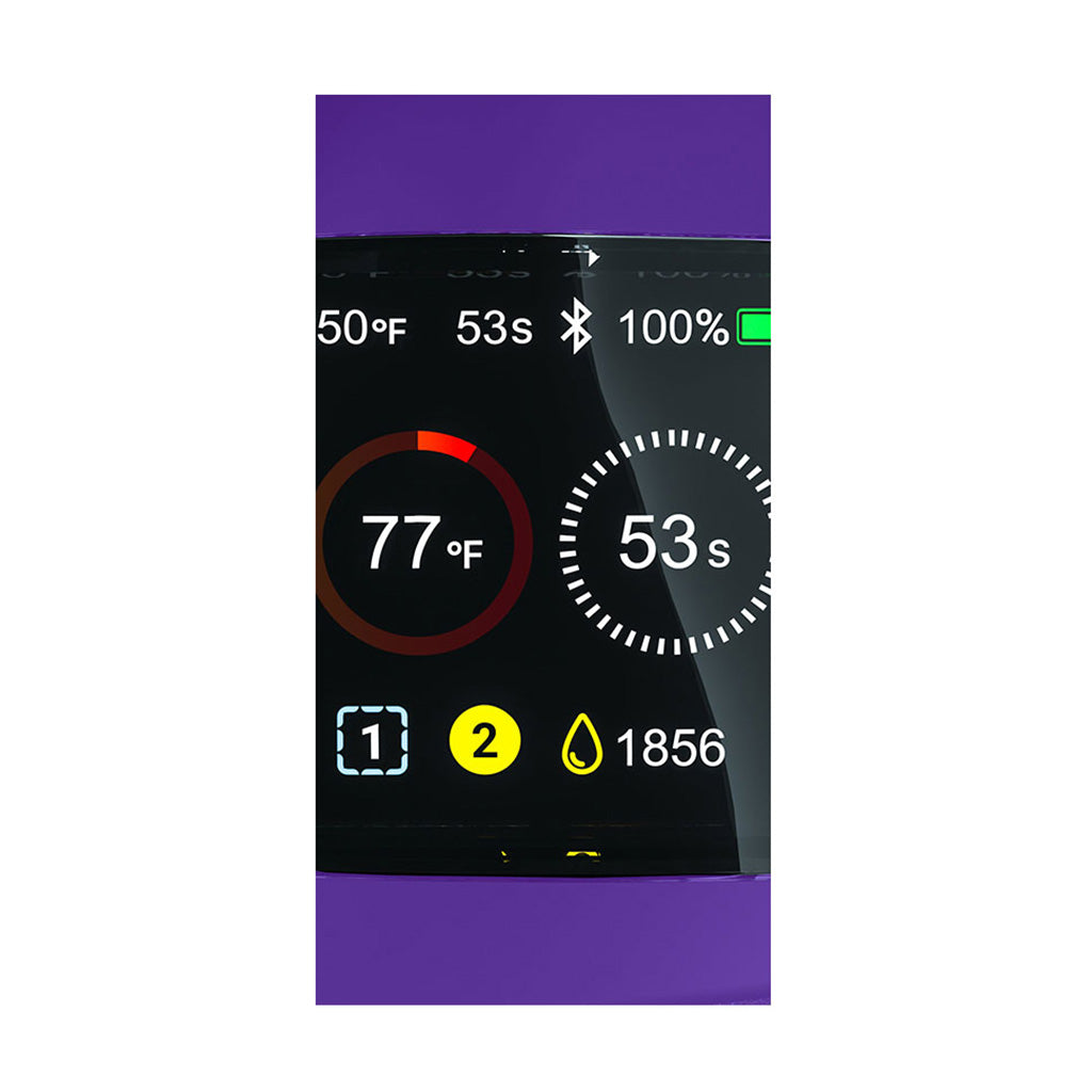 Focus V Carta 2 Grape