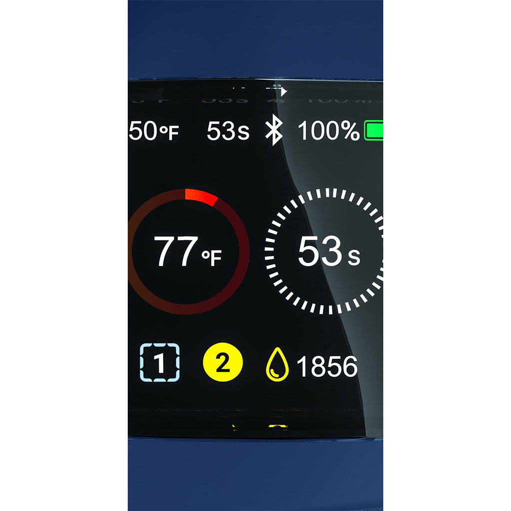Focus V Carta 2 Grape