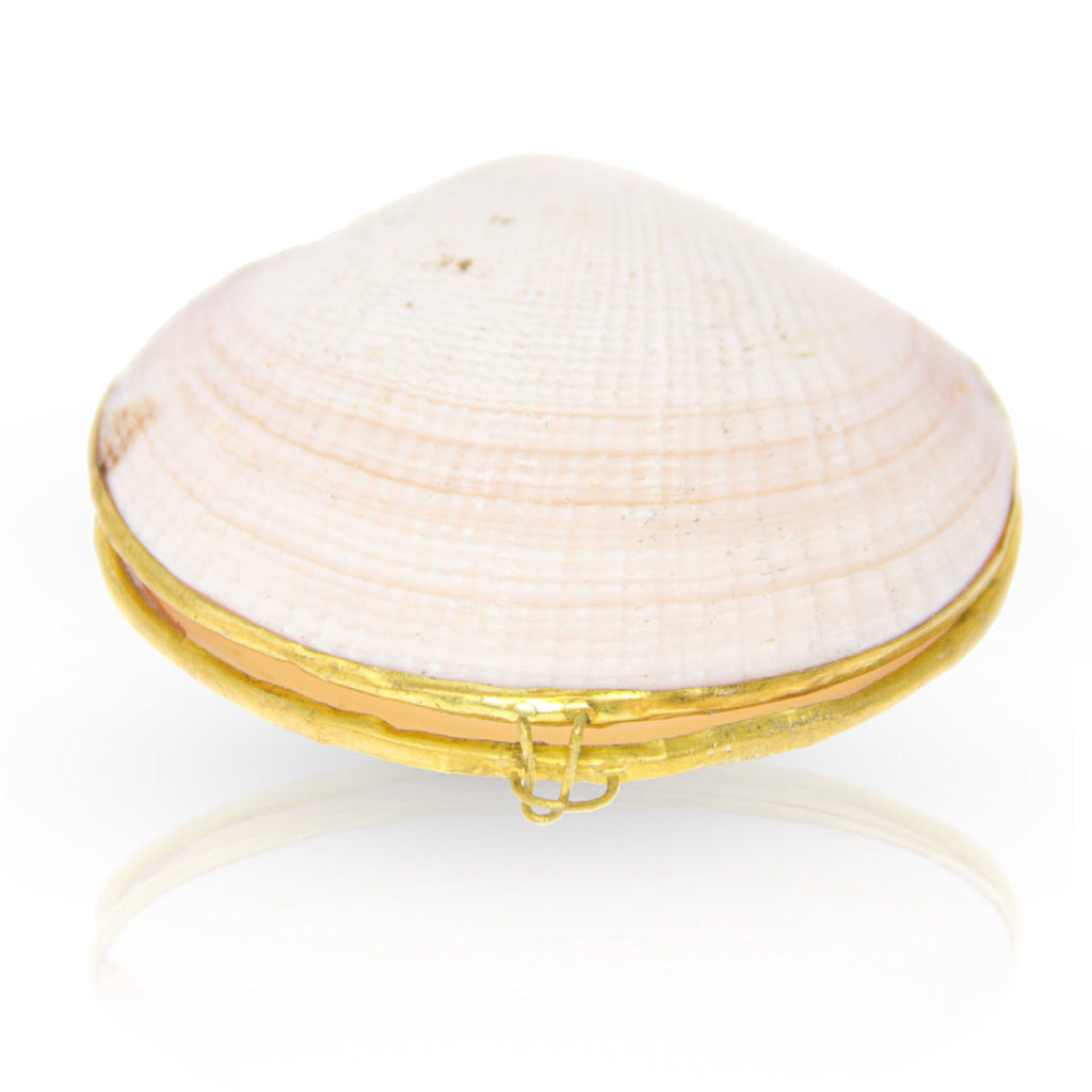 Stash Shell - Its a Shell!